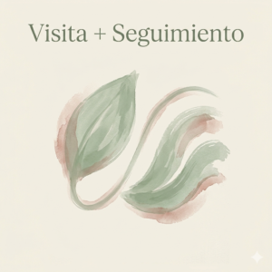 Visita + seguimiento